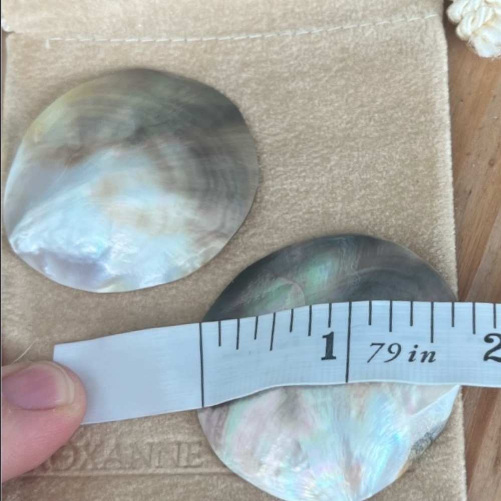 Abalone Shell Clip On Earrings - Picture 4 of 4